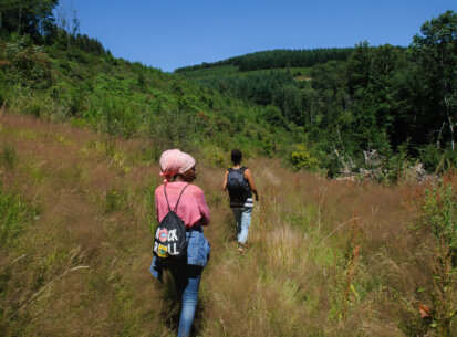 Marche & courts, 4 jours de randonnée dans le Morvan